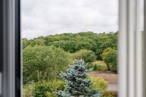 Views- click for photo gallery